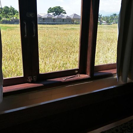 フランジパニ ビーチ ホテル ロヴィーナ エクステリア 写真